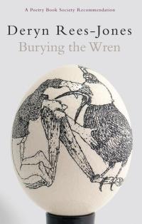 Cover image: Burying the Wren 9781854115768