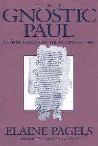 Imagen de portada: The Gnostic Paul 1st edition 9781563380396