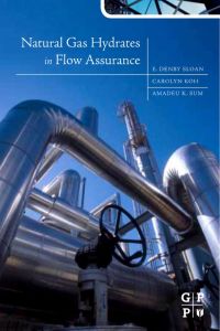 Titelbild: Natural Gas Hydrates in Flow Assurance 9781856179454