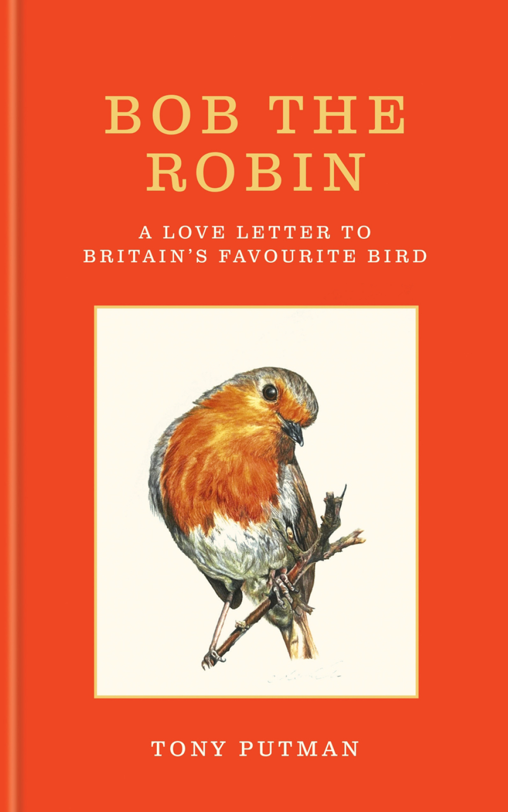 Bob the Robin A love letter to Britain’s favourite bird