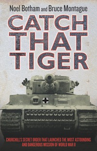 Cover image: Catch That Tiger 9781857826609