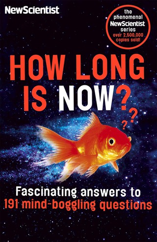 Cover image: How Long is Now? 9781857886634