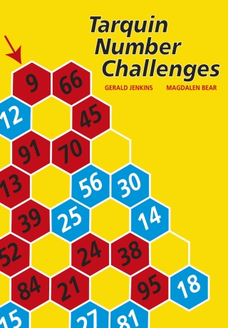 Cover image: Tarquin Number Challenges 9781899618491