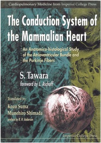 Cover image: CONDUCTION SYSTEM OF THE MAMMALIAN... 9781860941160