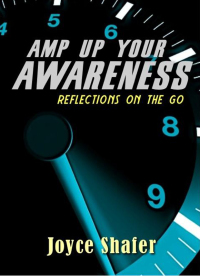 表紙画像: Amp Up Your Awareness 1st edition