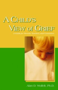 Cover image: A Child's View of Grief 9781879651432