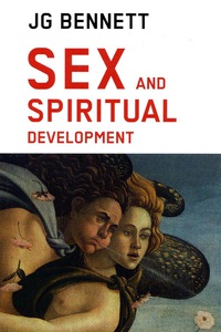 Omslagafbeelding: Sex and Spiritual Development 9781881408178