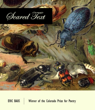 صورة الغلاف: Scared Text 9781885635181