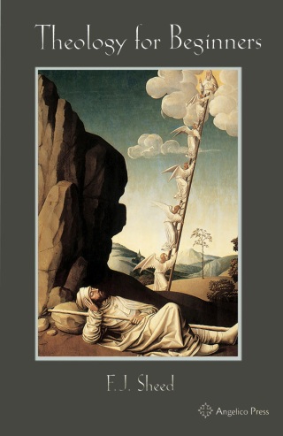 Imagen de portada: Theology for Beginners 9781887593168