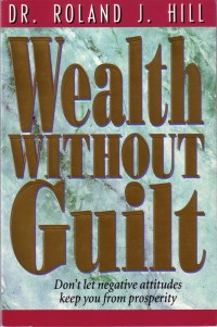 Omslagafbeelding: Wealth Without Guilt