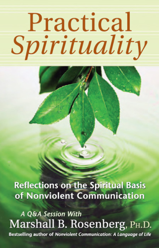 صورة الغلاف: Practical Spirituality 9781892005144