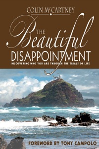 Cover image: The Beautiful Disappointment 9781894860352