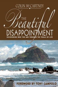 صورة الغلاف: The Beautiful Disappointment 9781894860352