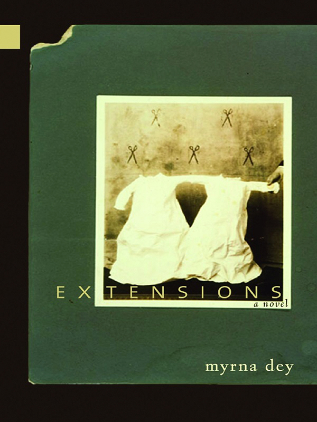Extensions (eBook)