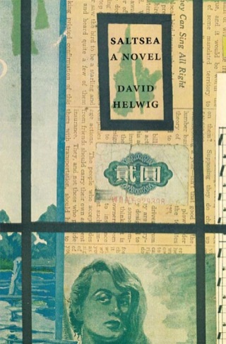 Cover image: Saltsea 9781897231104