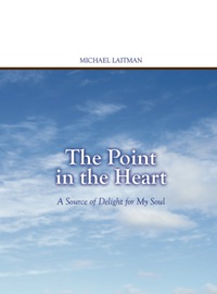 Cover image: The Point in the Heart 9781897448410