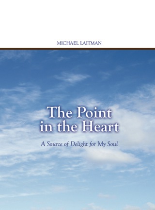 Immagine di copertina: The Point in the Heart 9781897448410