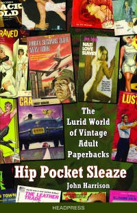 Cover image: Hip Pocket Sleaze 9781900486484