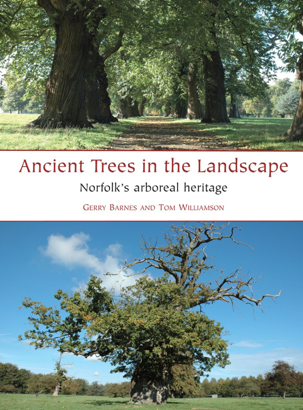 Ancient Trees in the Landscape Norfolk’s arboreal heritage
