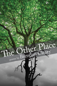 Cover image: The Other Place 9781906309534
