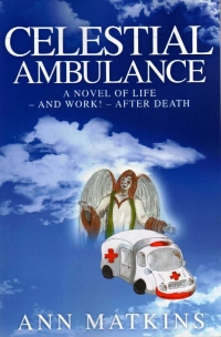 Titelbild: Celestial Ambulance 1st edition 9781907203459