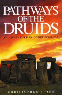 Immagine di copertina: Pathways of the Druids 1st edition 9781907203619