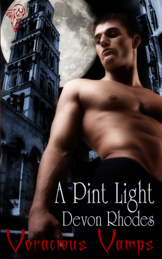 Cover image: A Pint Light 1st edition 9781907280375