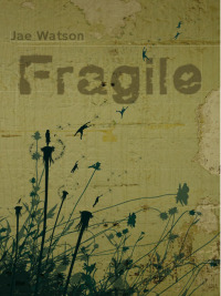 Cover image: Fragile 1st edition 9781906558123