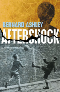 Cover image: Aftershock 9781847800558