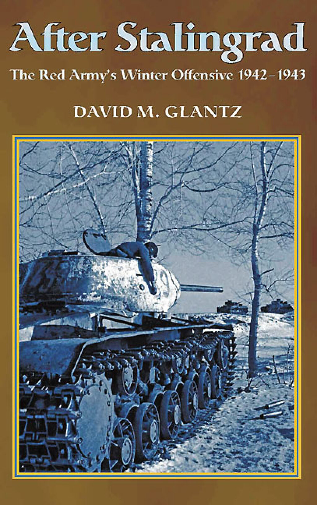 After Stalingrad The Red Army’s Winter Offensive, 1942-1943