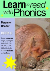 表紙画像: Learn to Read with Phonics - Book 6 2nd edition 9780956115089