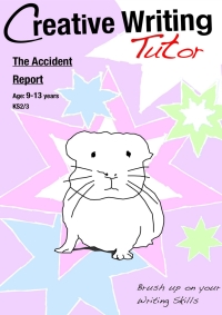 Titelbild: The Accident Report 1st edition 9781907733031