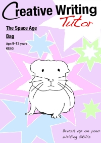 Titelbild: The Space Age Bag 1st edition 9781907733048
