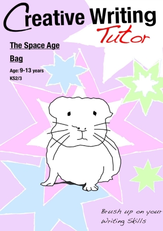 Cover image: The Space Age Bag 1st edition 9781907733048