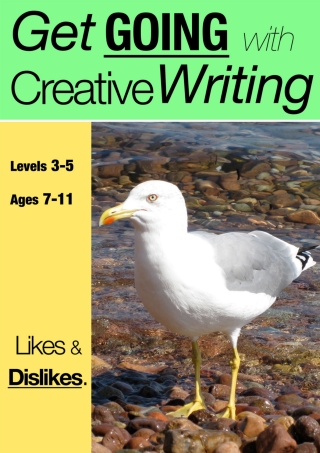 Imagen de portada: Likes and Dislikes 2nd edition 9781907733147