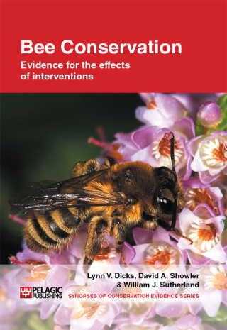 Imagen de portada: Bee Conservation 1st edition 9781907807008