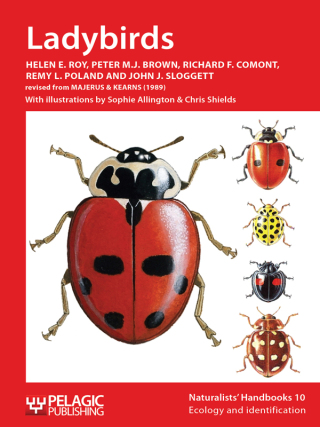 Imagen de portada: Ladybirds 2nd edition 9781907807077