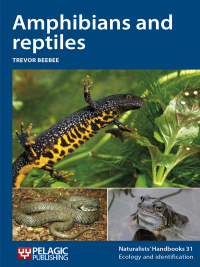 Imagen de portada: Amphibians and reptiles 1st edition 9781907807459