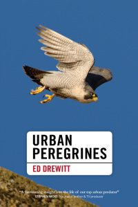 Cover image: Urban Peregrines 1st edition 9781907807817