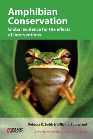 Cover image: Amphibian Conservation 1st edition 9781907807855
