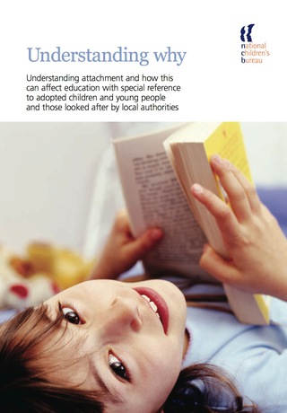 Cover image: Understanding Why 9781905818020