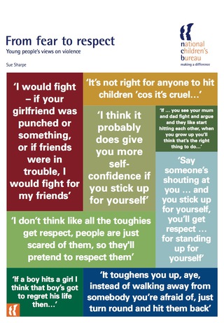 Imagen de portada: From Fear to Respect 9781904787068