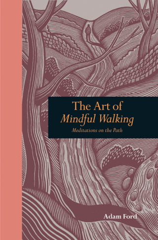 Omslagafbeelding: Art of Mindful Walking 9781907332586