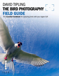 Cover image: The Bird Photography Field Guide 9781908150011