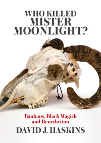Cover image: Who Killed Mister Moonlight? 9781911036104