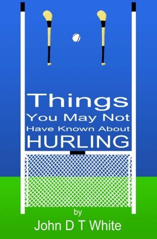 Cover image: 101 Things You May Not Have Known About Hurling 1st edition 9781908752703