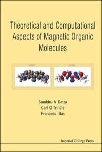 Omslagafbeelding: Theoretical And Computational Aspects Of Magnetic Organic Molecules 9781908977212