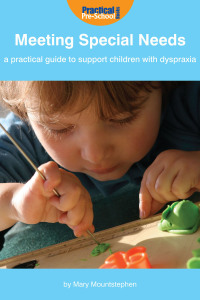 Cover image: Meeting Special Needs: A practical guide to support children with Dyspraxia 1st edition 9781904575955