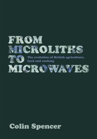 صورة الغلاف: From Microliths to Microwaves 9781908117007