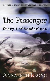Cover image: The Passenger